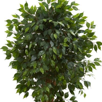 5.5-Foot Ficus Artificial Tree