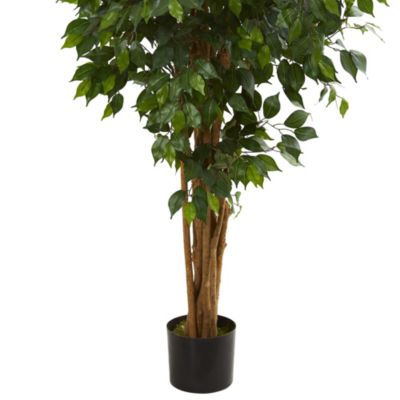 5.5-Foot Ficus Artificial Tree