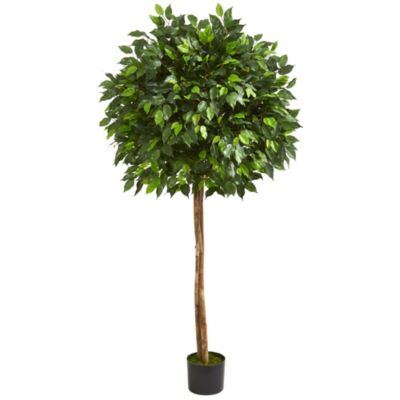 Nearly Natural 5.5-Foot Ficus Artificial Tree, Green