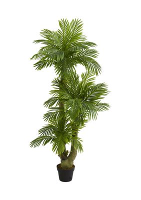 Nearly Natural Triple Phoenix Palm Tree, Green