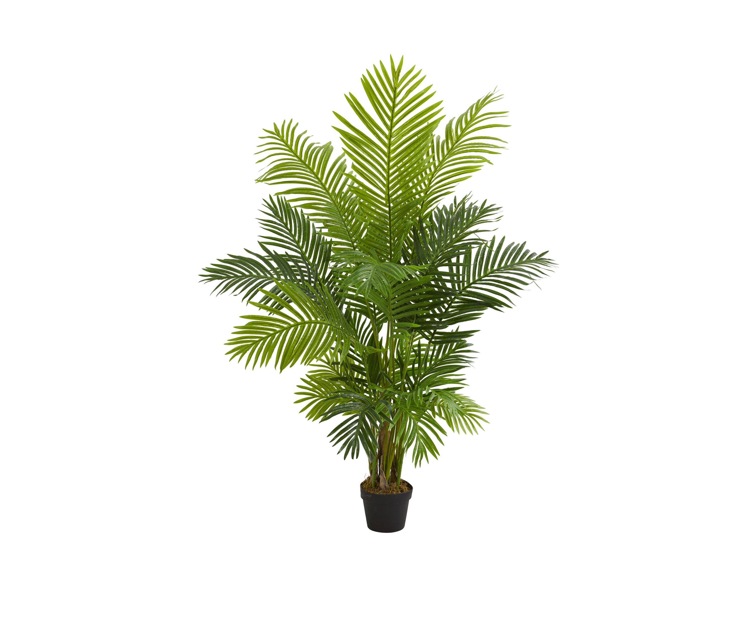 5 Foot Hawaii Palm Artificial Tree