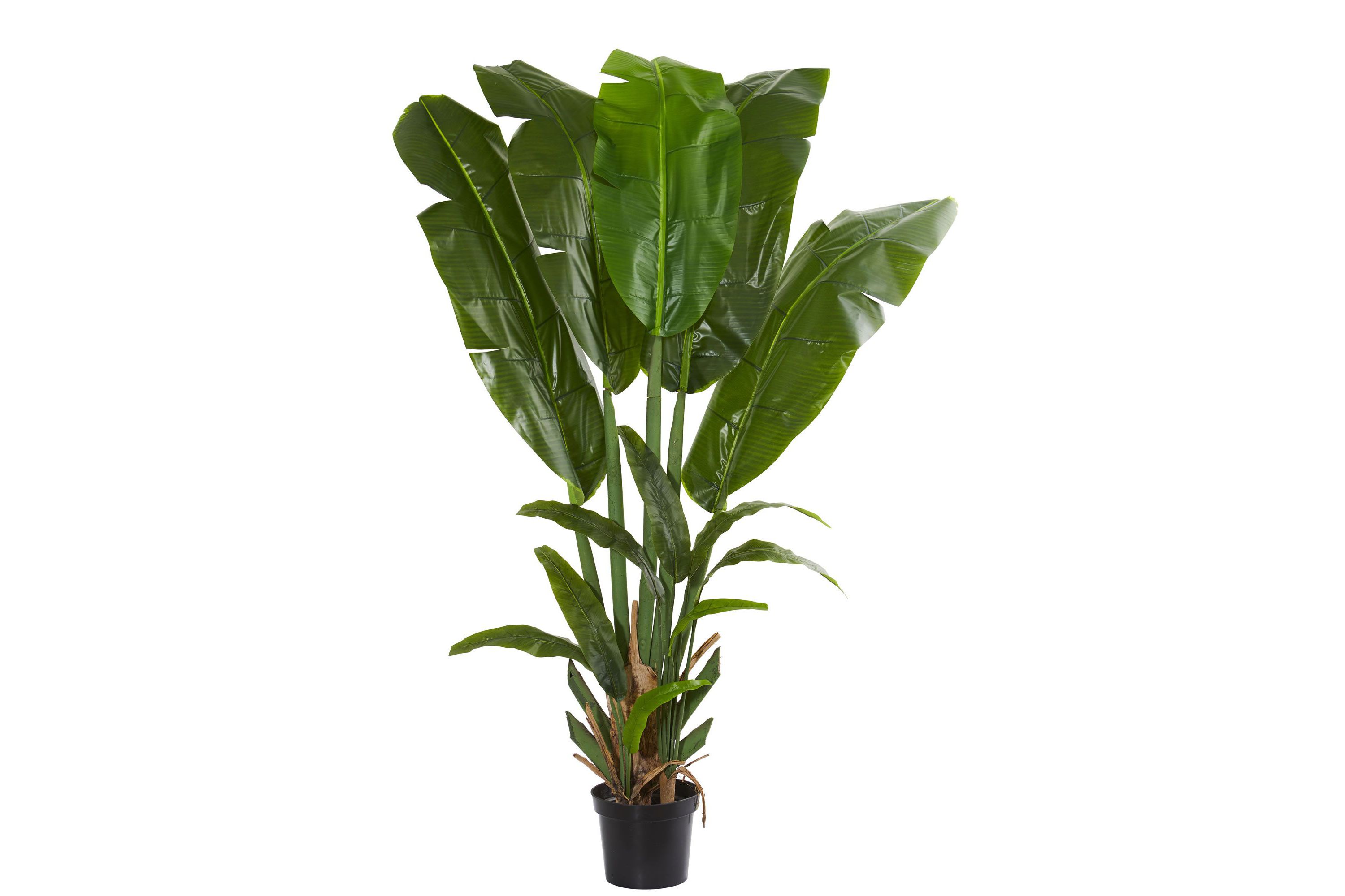 Giant Travelers Palm Artificial Tree