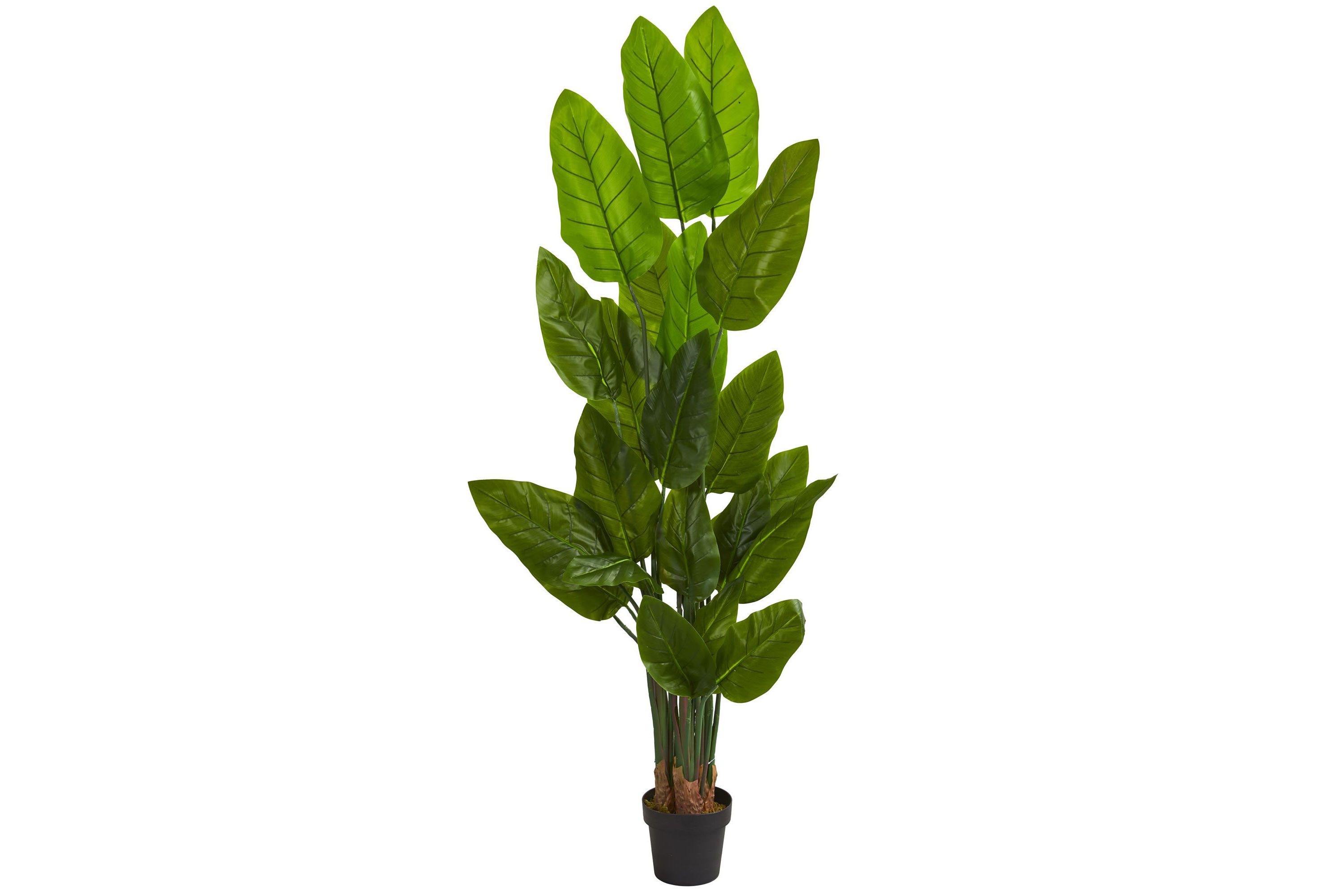 6-Foot Canna Artificial Tree