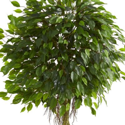 6-Foot Ficus Artificial Tree in Slate Planter UV Resistant (Indoor/Outdoor)