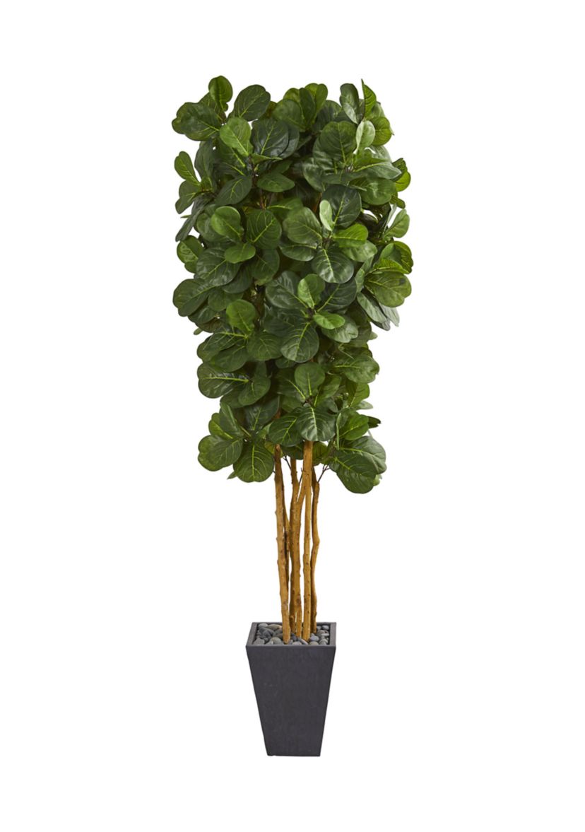 Fiddle Leaf Tree in Slate Planter
