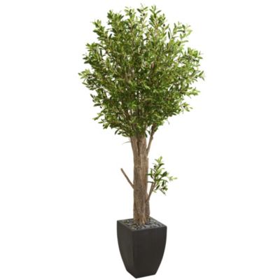 6.5-Foot Olive Artificial Tree in Black Planter