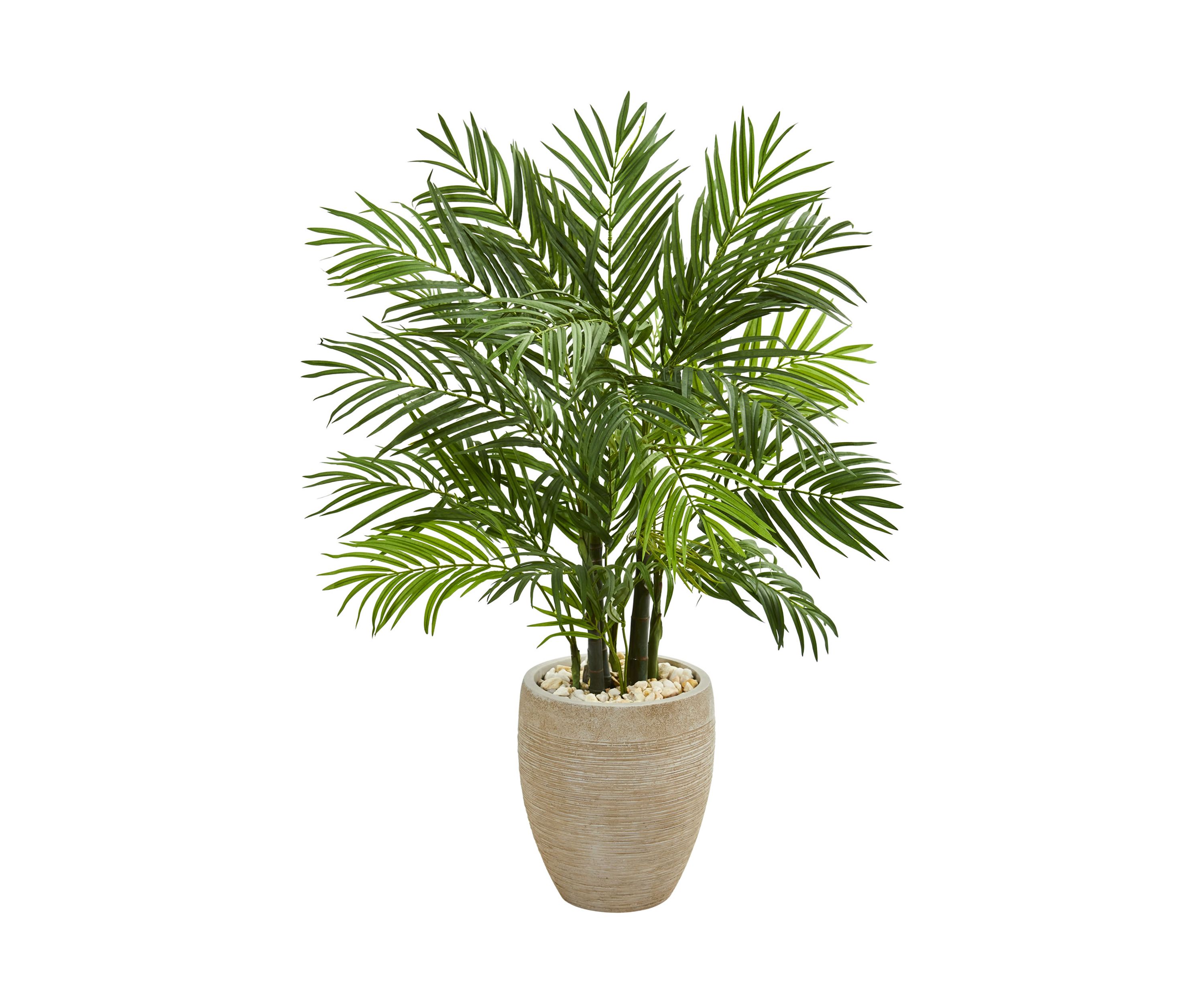 Areca Palm Tree in Sand Planter