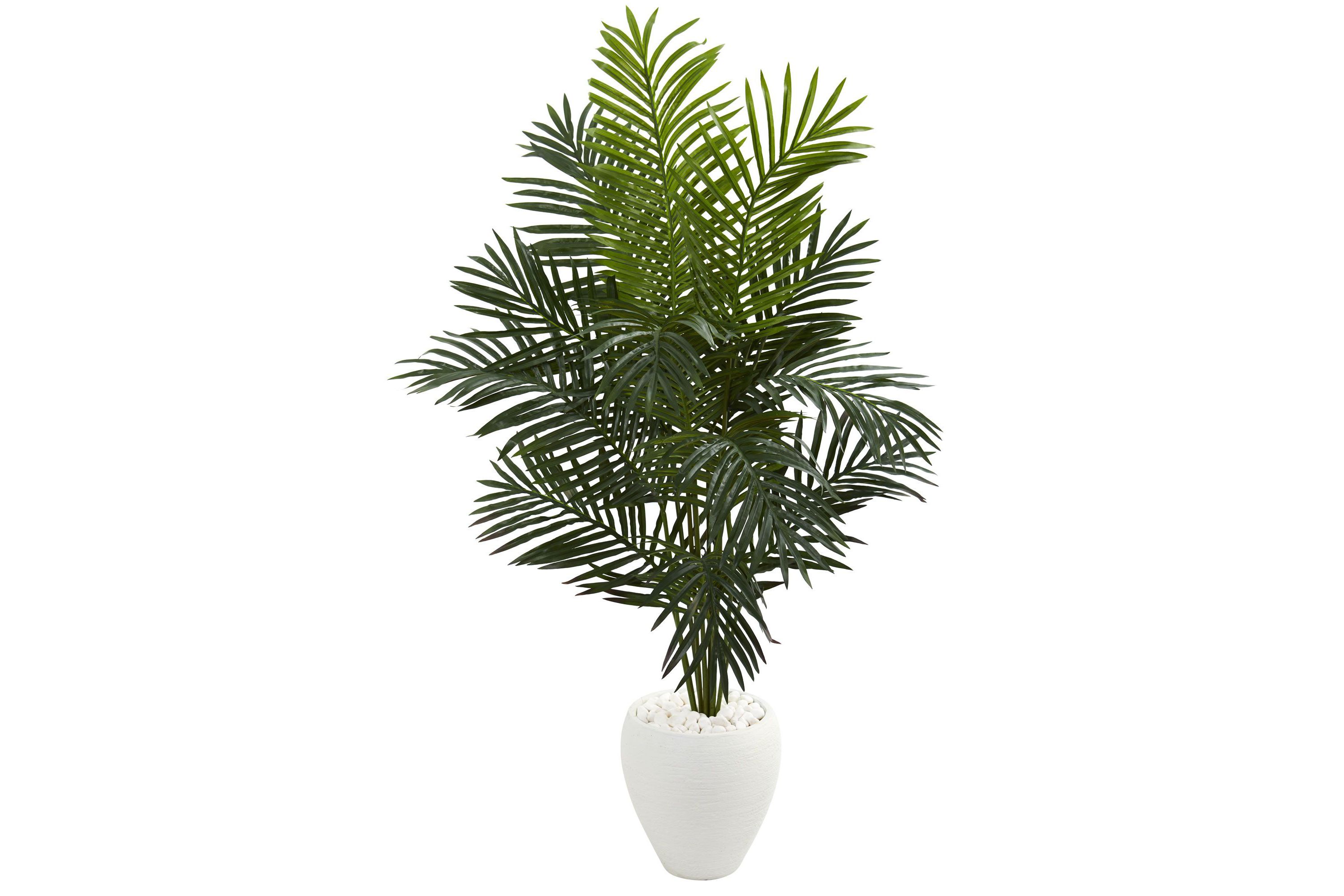 5.5-Foot Paradise Artificial Palm Tree in White Planter