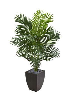 Nearly Natural Paradise Palm Tree in Planter, Green