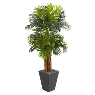 Nearly Natural 5.5-Foot Triple Areca Palm Artificial Tree in Slate Finish Planter, Green