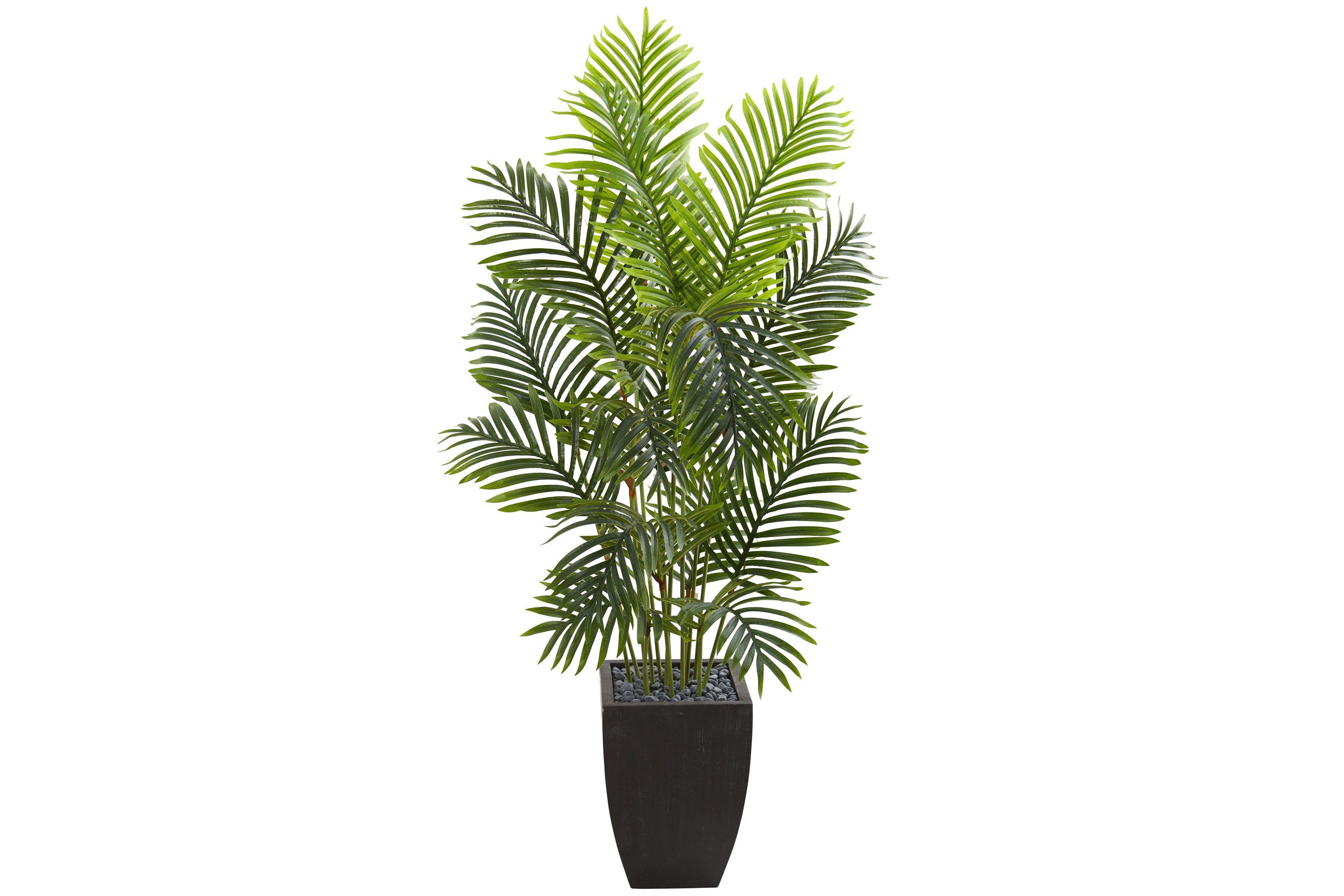 5.5-Foot Paradise Palm Artificial Tree in Square Planter