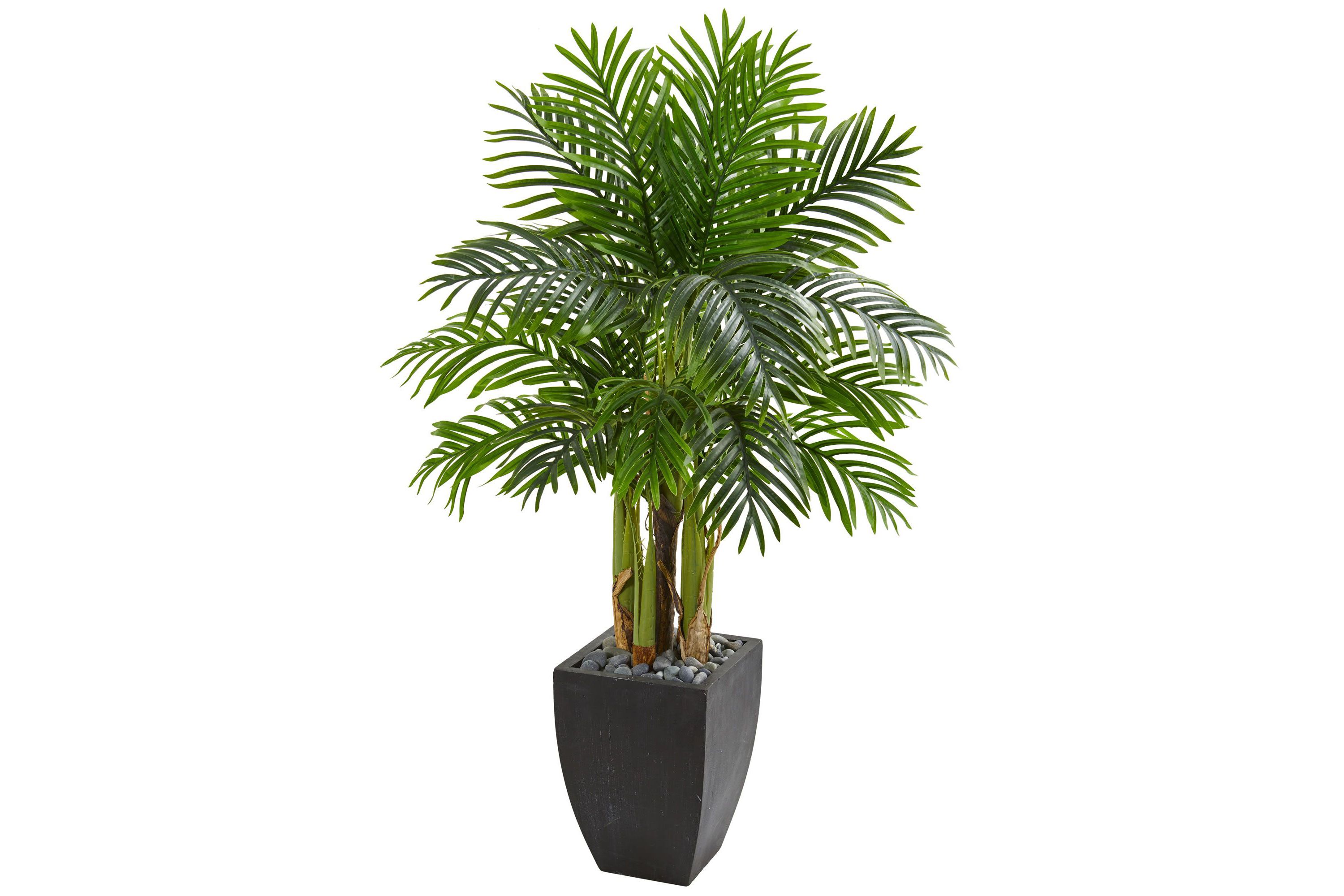 Kentia Palm Artificial Tree in Black Planter