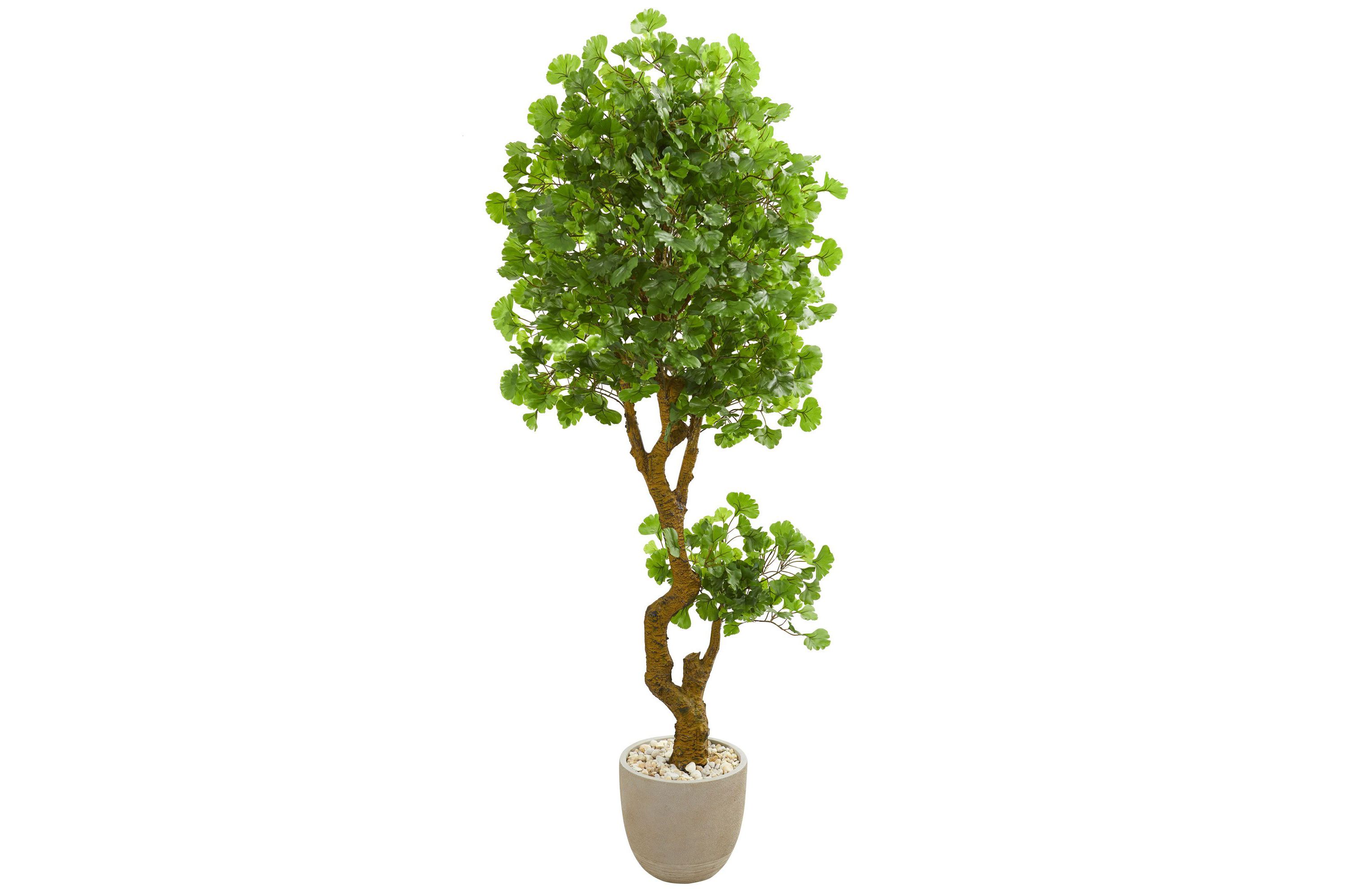 6.5-Foot Jingo Artificial Tree in Sand Colored Planter UV Resistant (Indoor/Outdoor)