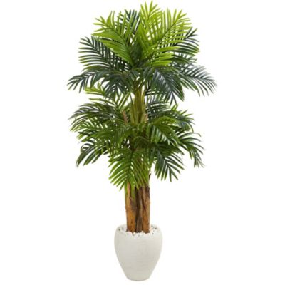 5.5-Foot Triple Areca Palm Artificial Tree in White Planter