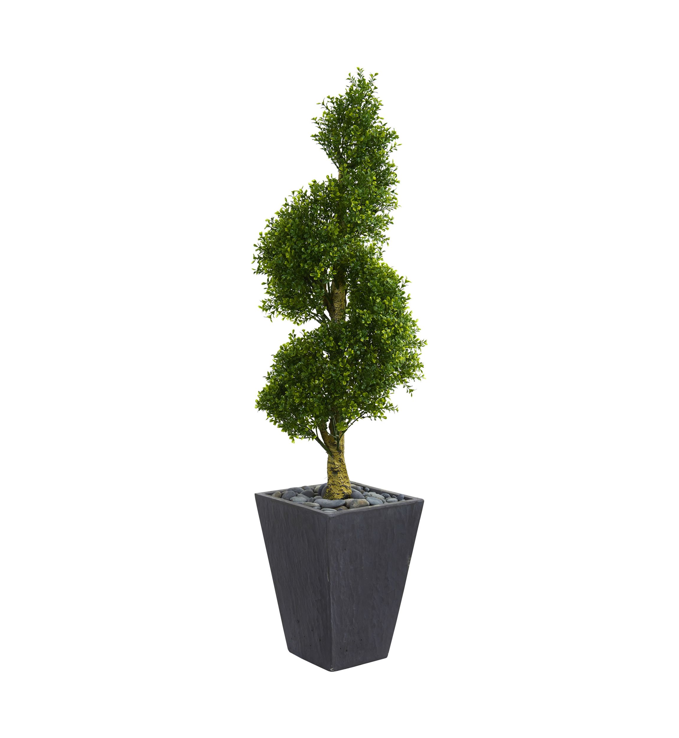 Boxwood Spiral Topiary Tree in Planter  Indoor/Outdoor