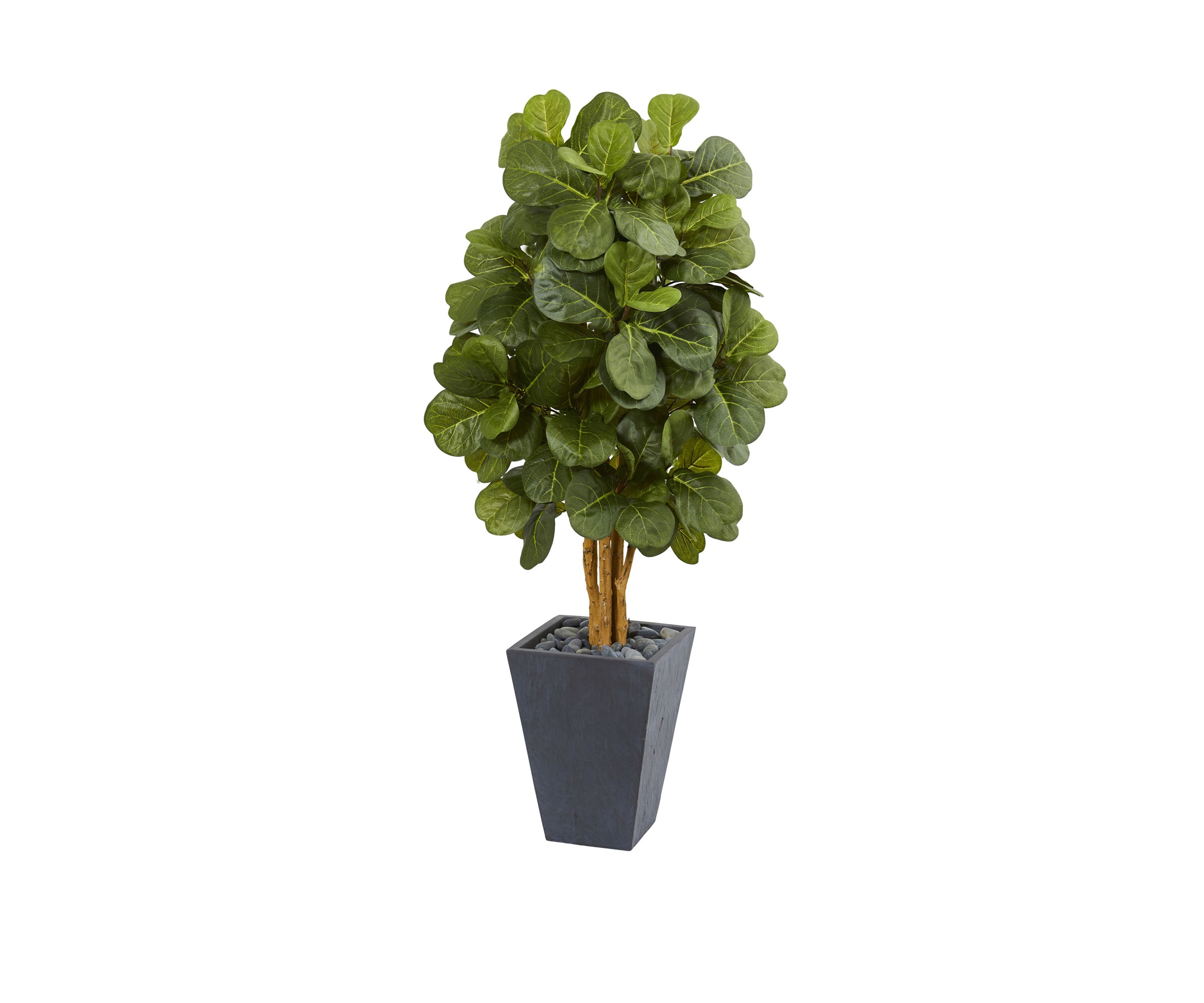 5.5 Foot Fiddle Leaf Artificial Tree in Slate Planter