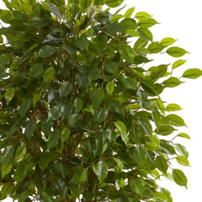 6-Foot Braided Ficus Artificial Tree in Decorative Planter