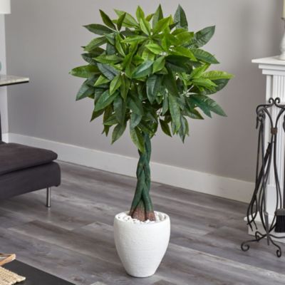 5-Foot Money Artificial Tree in White Oval Planter (Real Touch