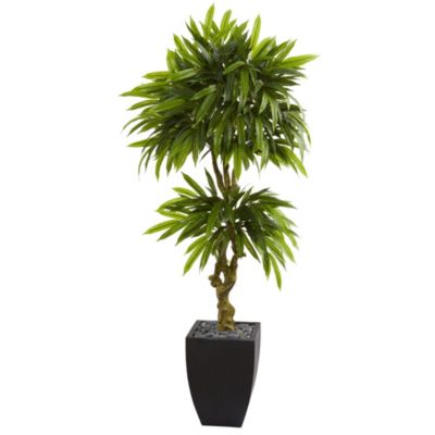 5.5-Foot Mango Artificial Tree in Black Wash Planter UV Resistant (Indoor/Outdoor)