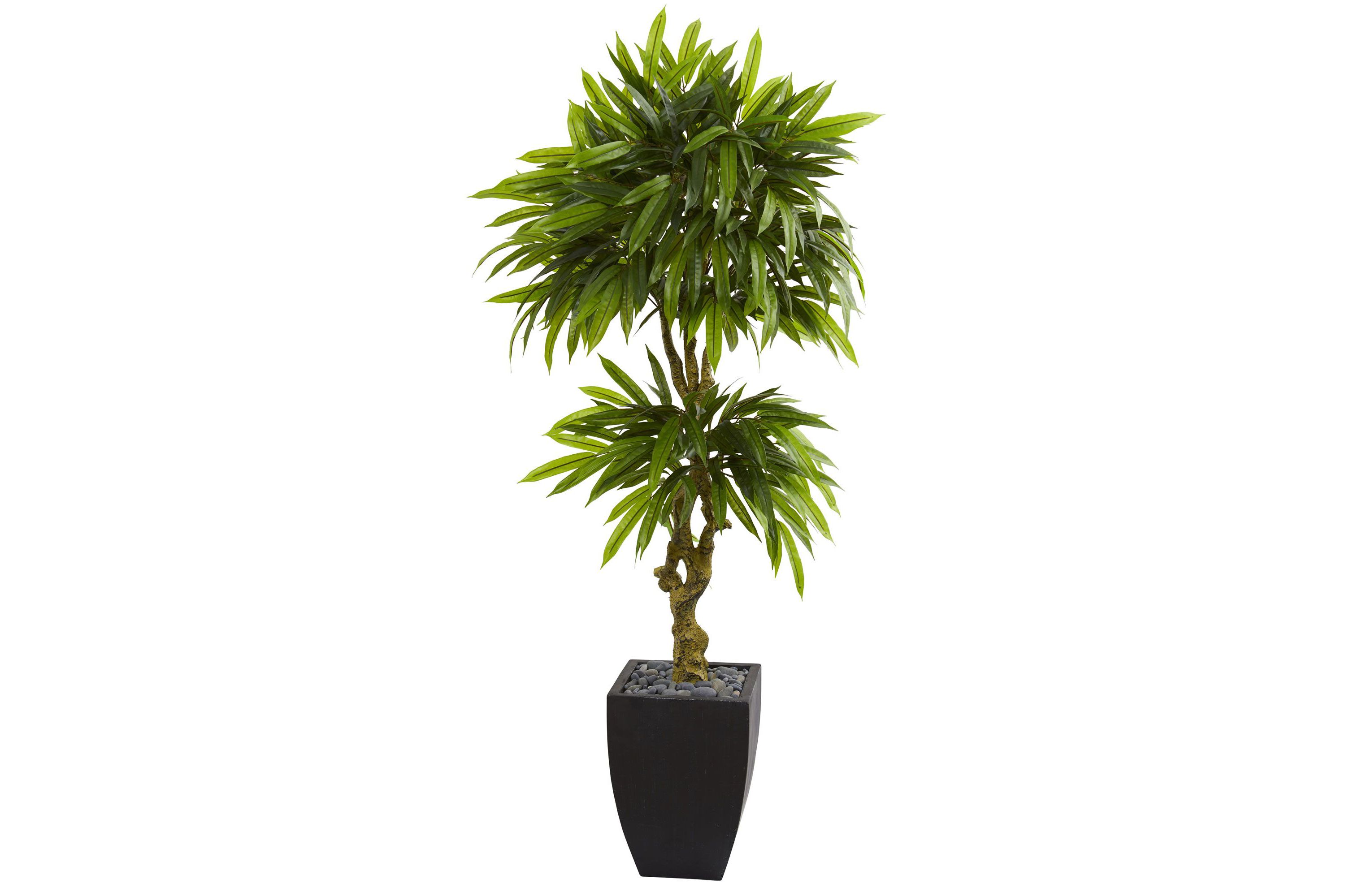 5.5-Foot Mango Artificial Tree in Black Wash Planter UV Resistant (Indoor/Outdoor)