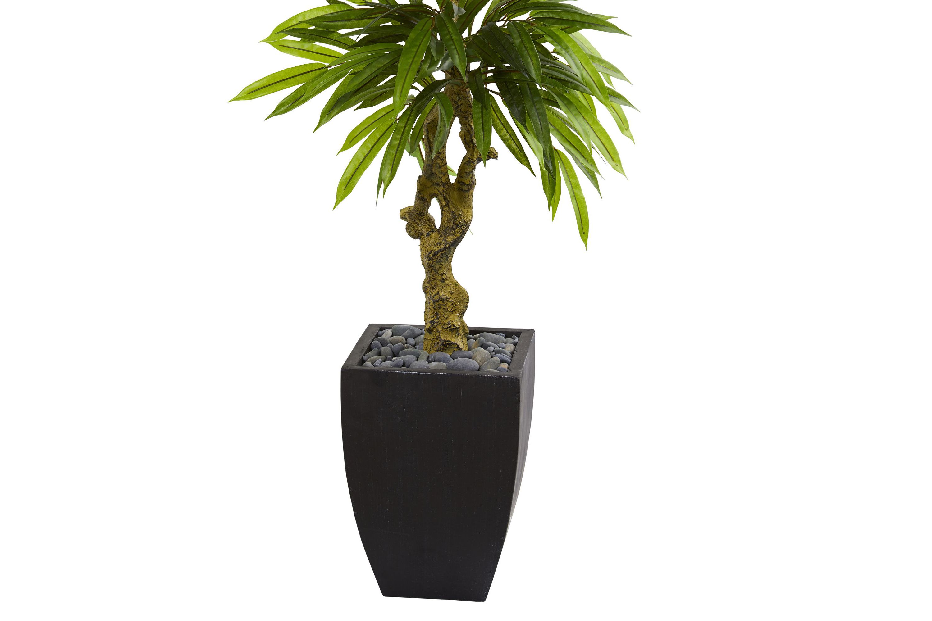 5.5-Foot Mango Artificial Tree in Black Wash Planter UV Resistant (Indoor/Outdoor)