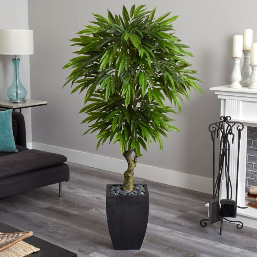 5.5-Foot Mango Artificial Tree in Black Wash Planter UV Resistant (Indoor/Outdoor)