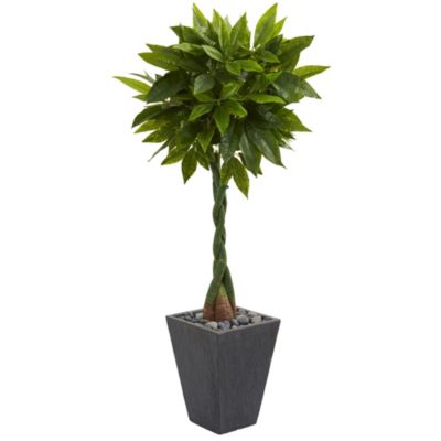 5-Foot Money Artificial Tree in Slate Planter (Real Touch)