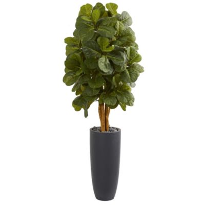5.5-Foot Fiddle Leaf Artificial Tree in Gray Cylinder Planter