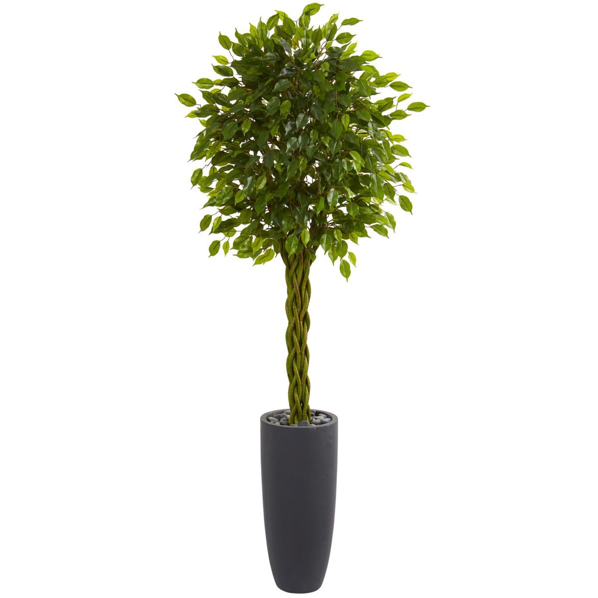 6.5-Foot Braided Ficus Artificial Tree in Cylinder Planter UV Resistant (Indoor/Outdoor)