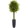 6.5-Foot Braided Ficus Artificial Tree in Cylinder Planter UV Resistant (Indoor/Outdoor)