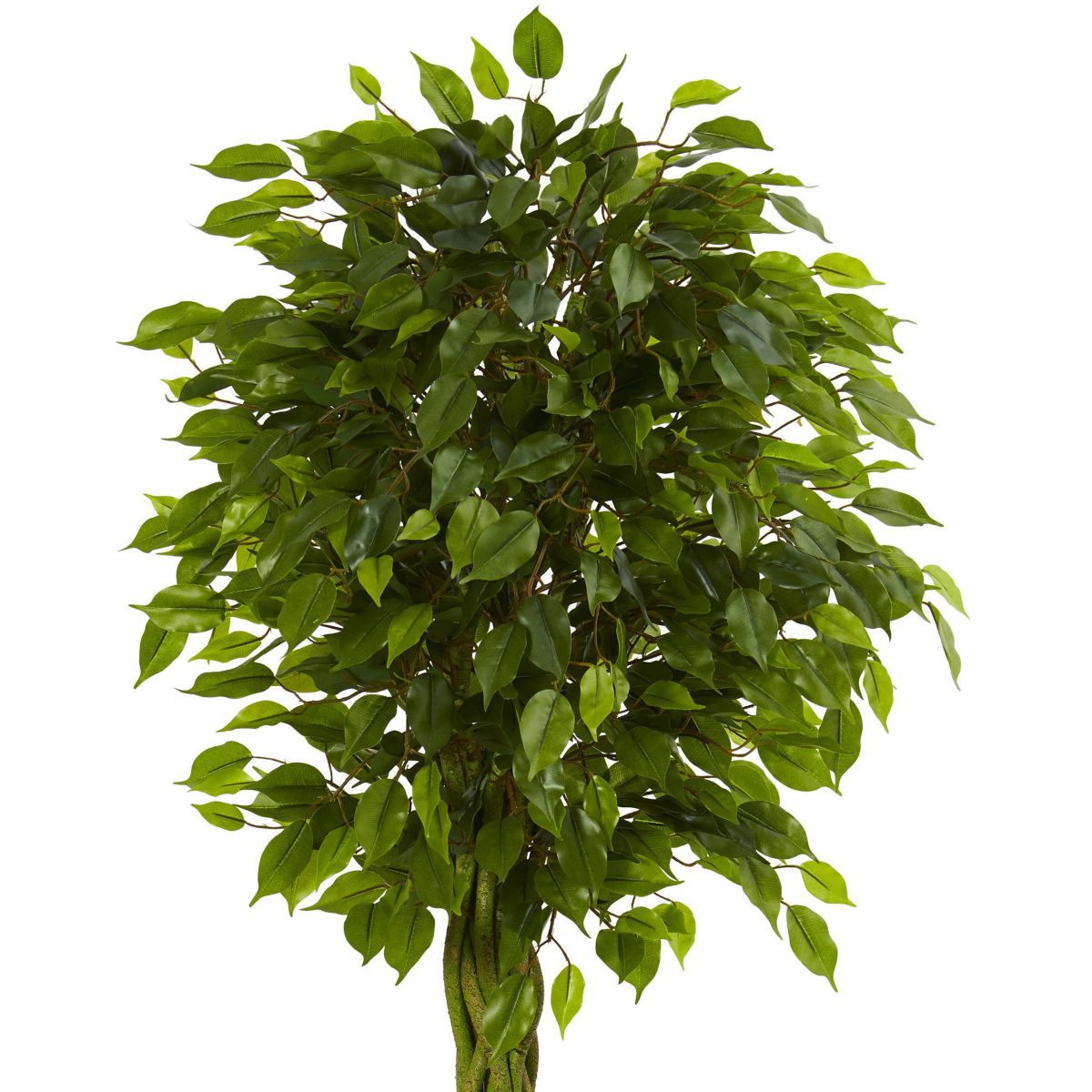 6.5-Foot Braided Ficus Artificial Tree in Cylinder Planter UV Resistant (Indoor/Outdoor)