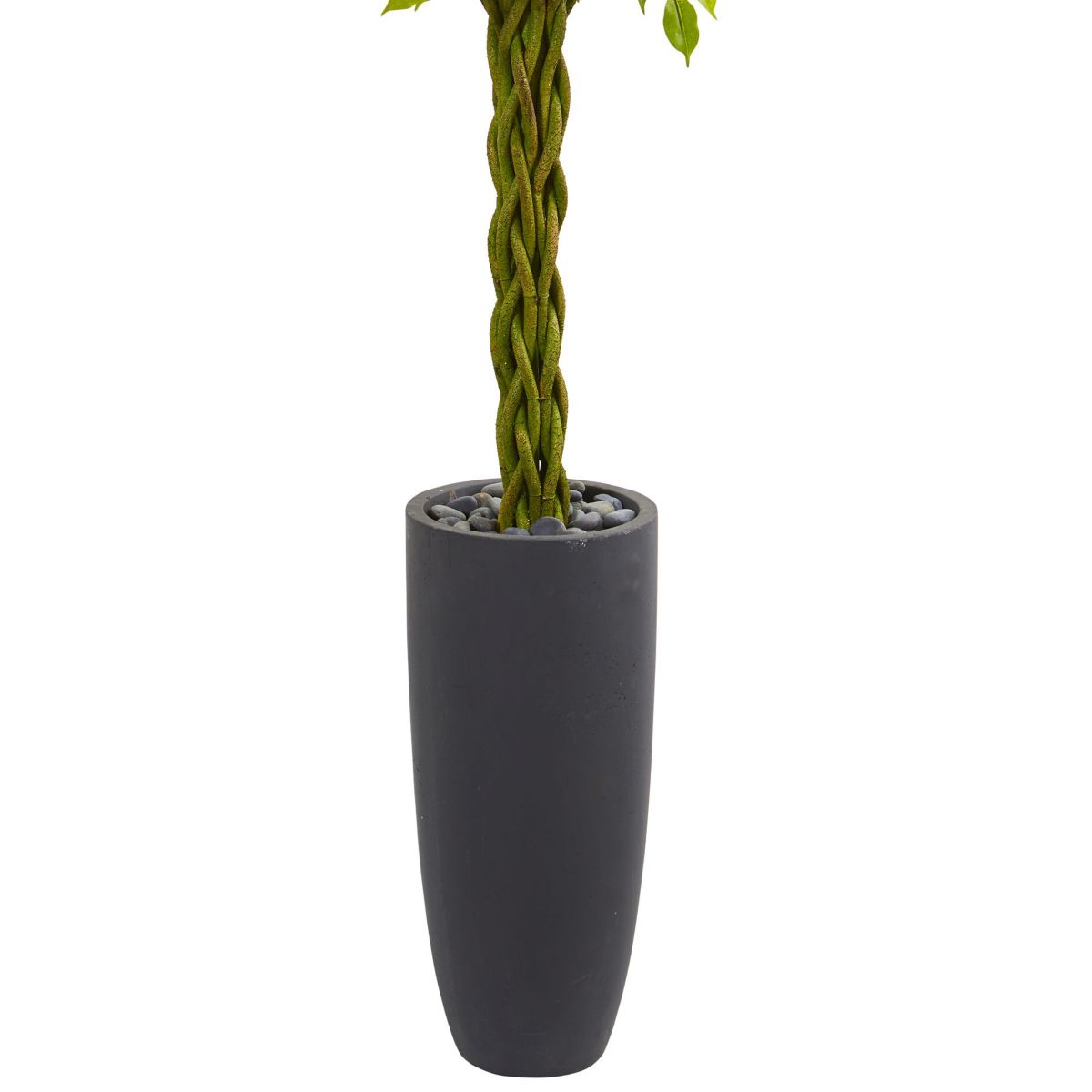 6.5-Foot Braided Ficus Artificial Tree in Cylinder Planter UV Resistant (Indoor/Outdoor)