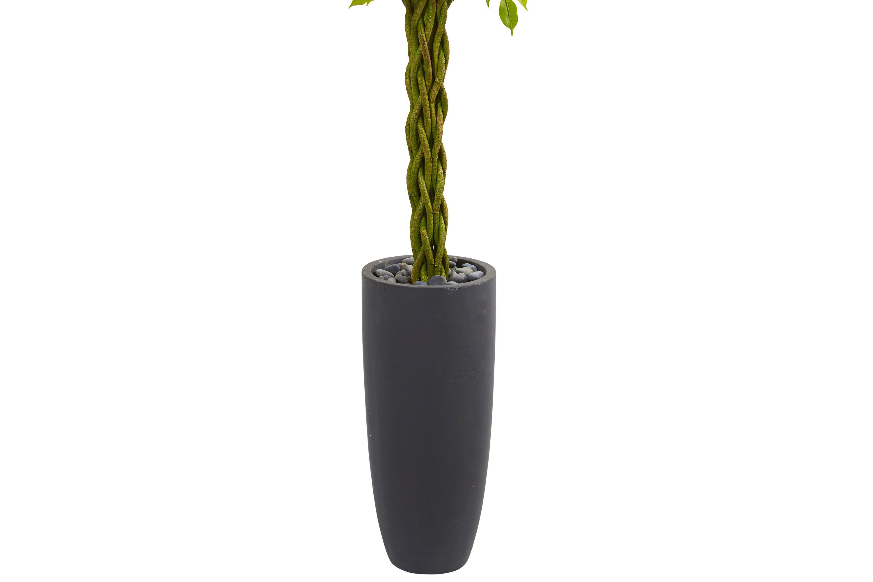 6.5-Foot Braided Ficus Artificial Tree in Cylinder Planter UV Resistant (Indoor/Outdoor)