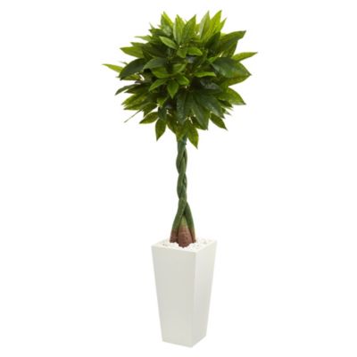 5.5-Foot Money Artificial Tree in White Tower Planter (Real Touch)