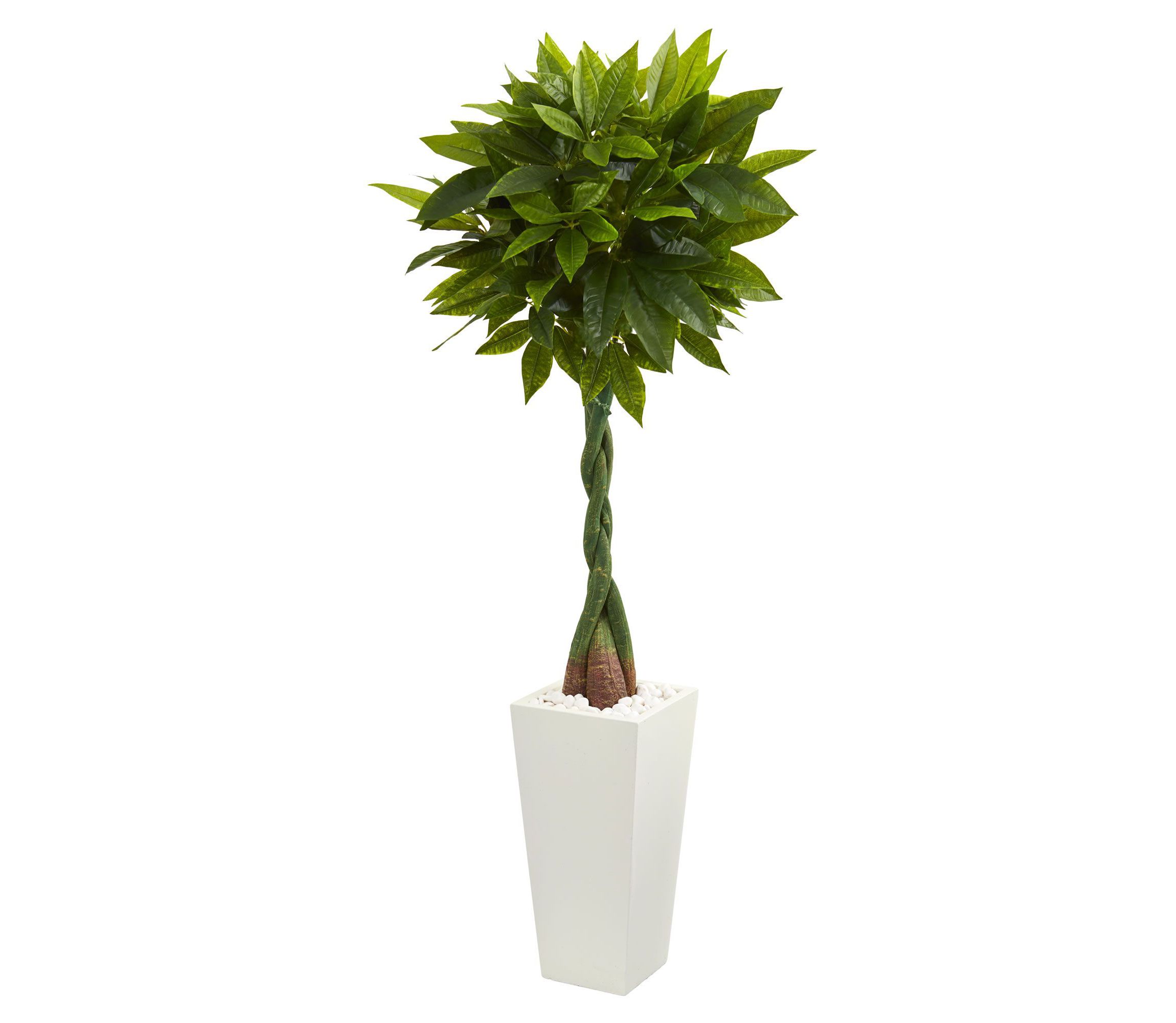 5.5-Foot Money Artificial Tree in White Tower Planter (Real Touch)