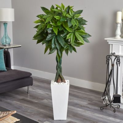 5.5-Foot Money Artificial Tree in White Tower Planter (Real Touch)