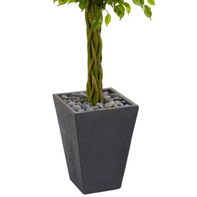 5-Foot Braided Ficus Artificial Tree in Slate Planter UV Resistant (Indoor/Outdoor)