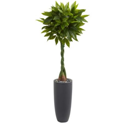 6-Foot Money Artificial Tree in Gray Cylinder Planter (Real Touch)