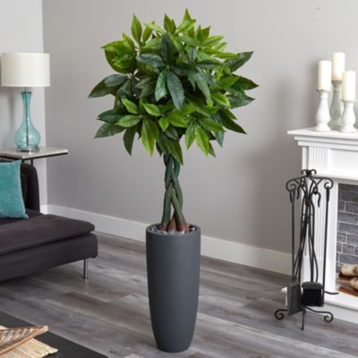 6-Foot Money Artificial Tree in Gray Cylinder Planter (Real Touch)