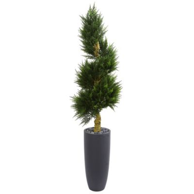 6-Foot Spiral Cypress Artificial Tree in Cylinder Planter UV Resistant (Indoor/Outdoor)