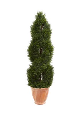 Double Pond Cypress Topiary Tree in Planter  Indoor/Outdoor