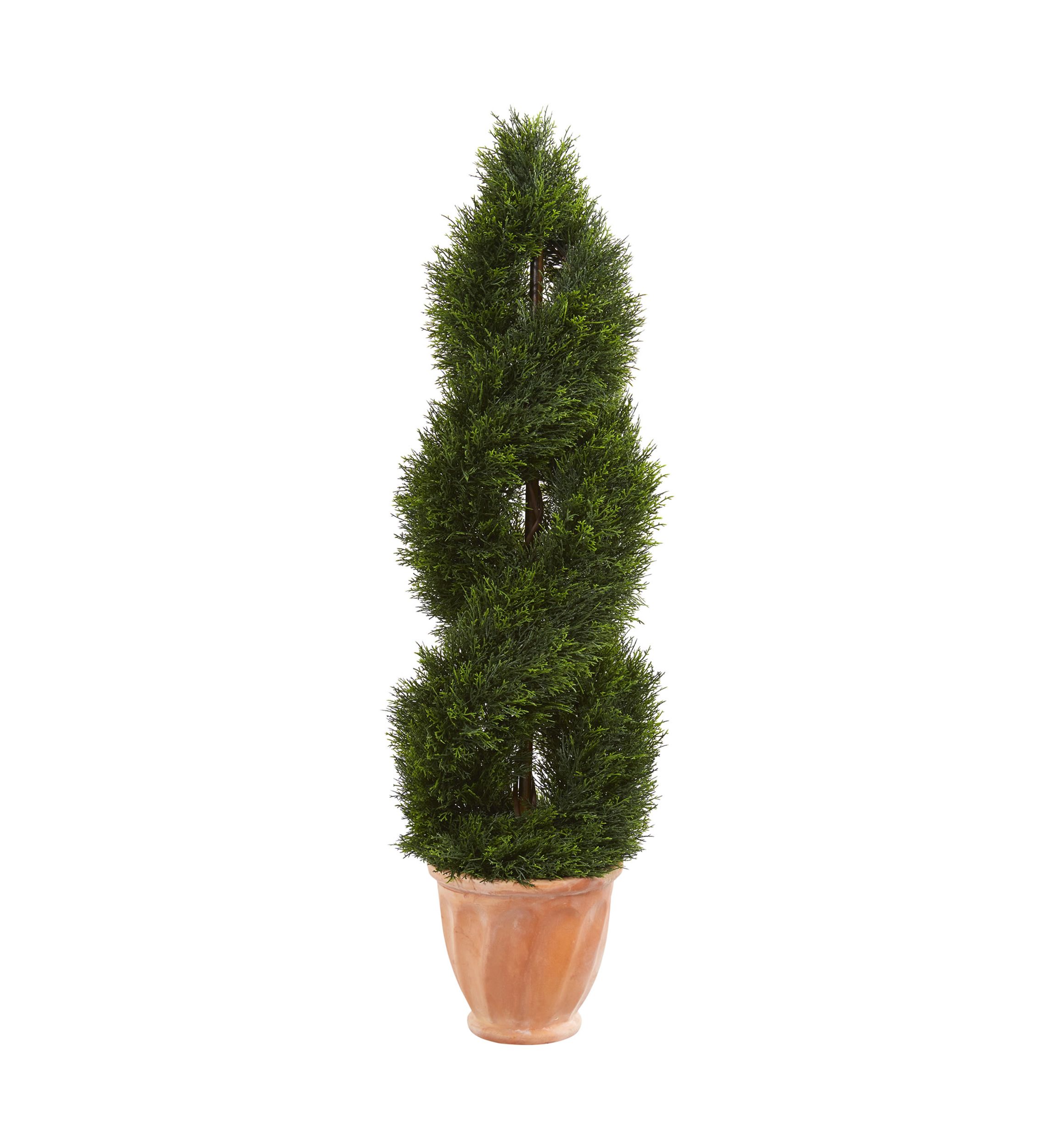 Double Pond Cypress Topiary Tree in Planter  Indoor/Outdoor
