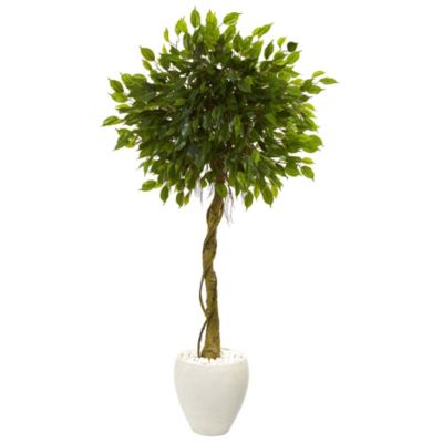 5.5-Foot Ficus Artificial Tree in White Oval Planter UV Resistant (Indoor/Outdoor)