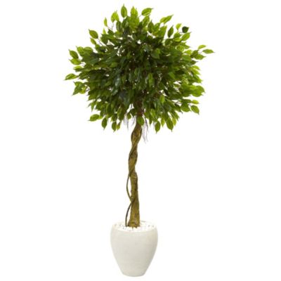 Nearly Natural 5.5-Foot Ficus Artificial Tree in White Oval Planter UV Resistant (Indoor/Outdoor)