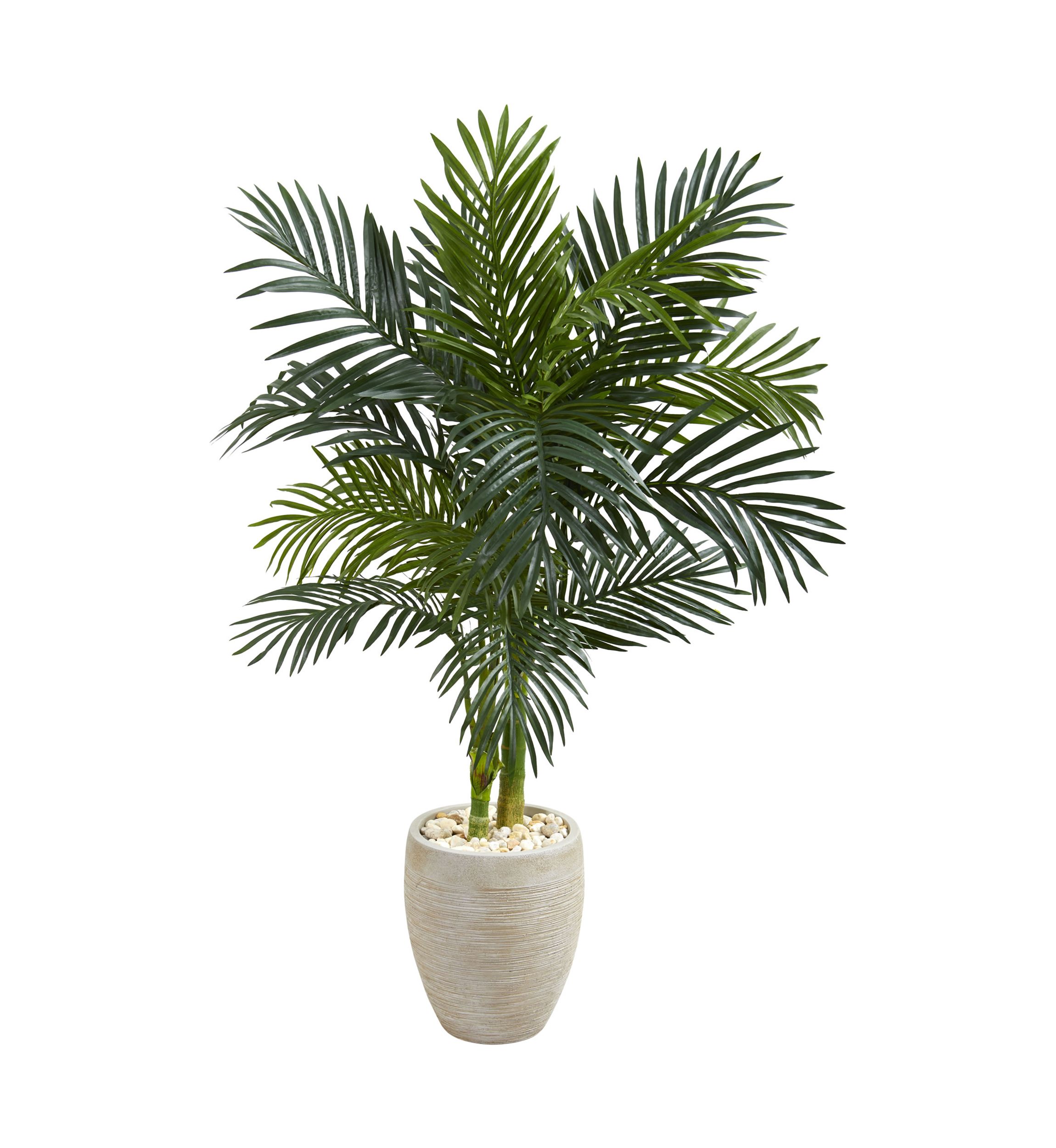 Golden Cane Palm Tree in Oval Planter