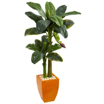 5.5-Foot Double Stalk Banana Artificial Tree in Orange Planter