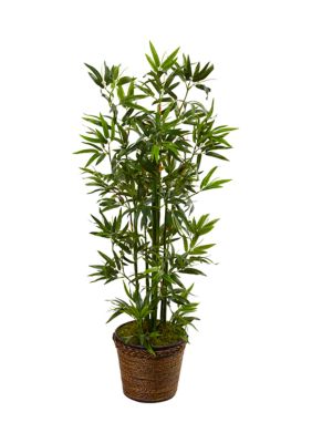 Nearly Natural Bamboo Tree in Coiled Rope Planter, Green