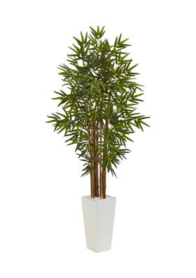 Bamboo Tree in Tower Planter