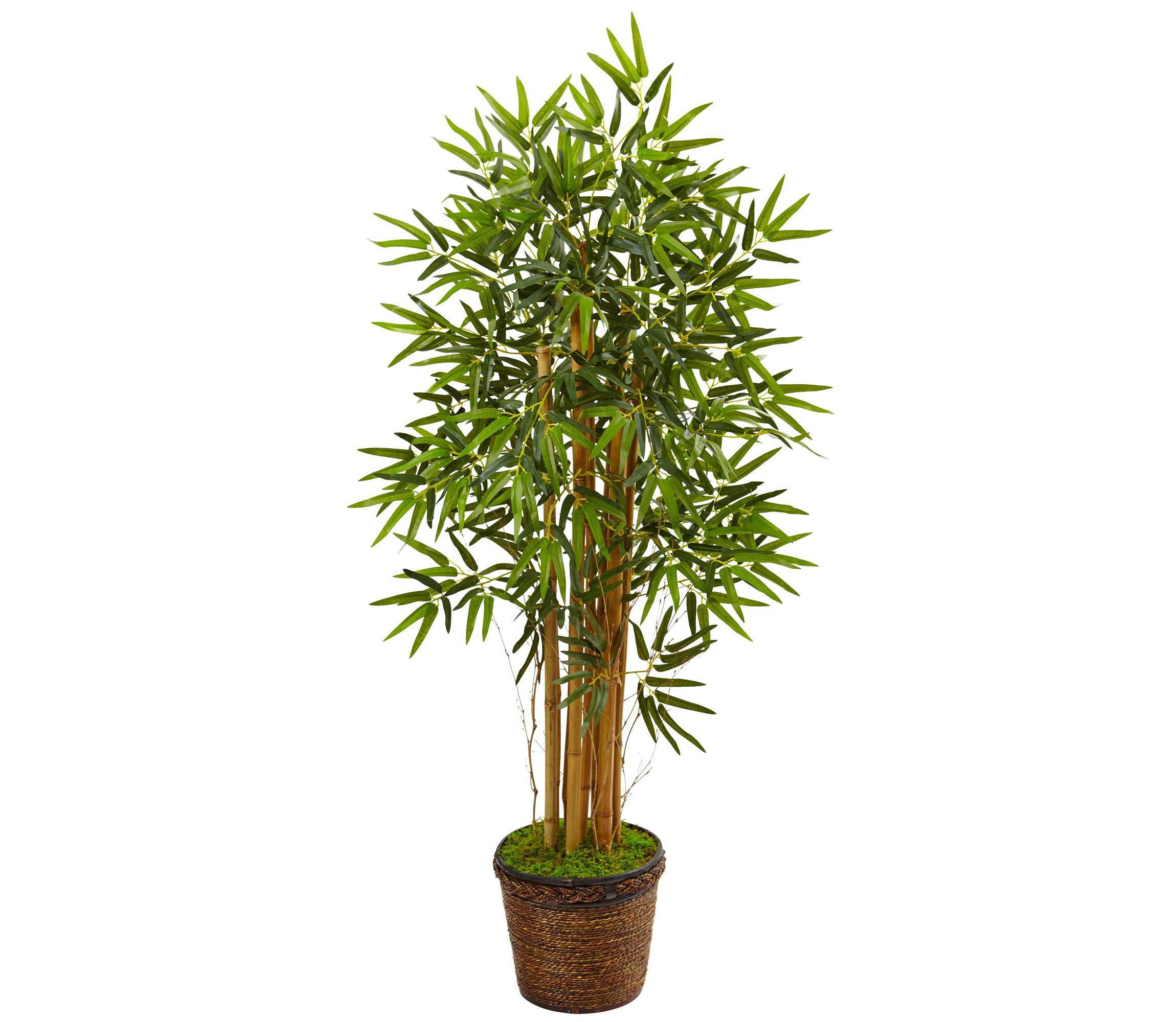 4.5-Foot Bamboo Artificial Tree in Coiled Rope Planter
