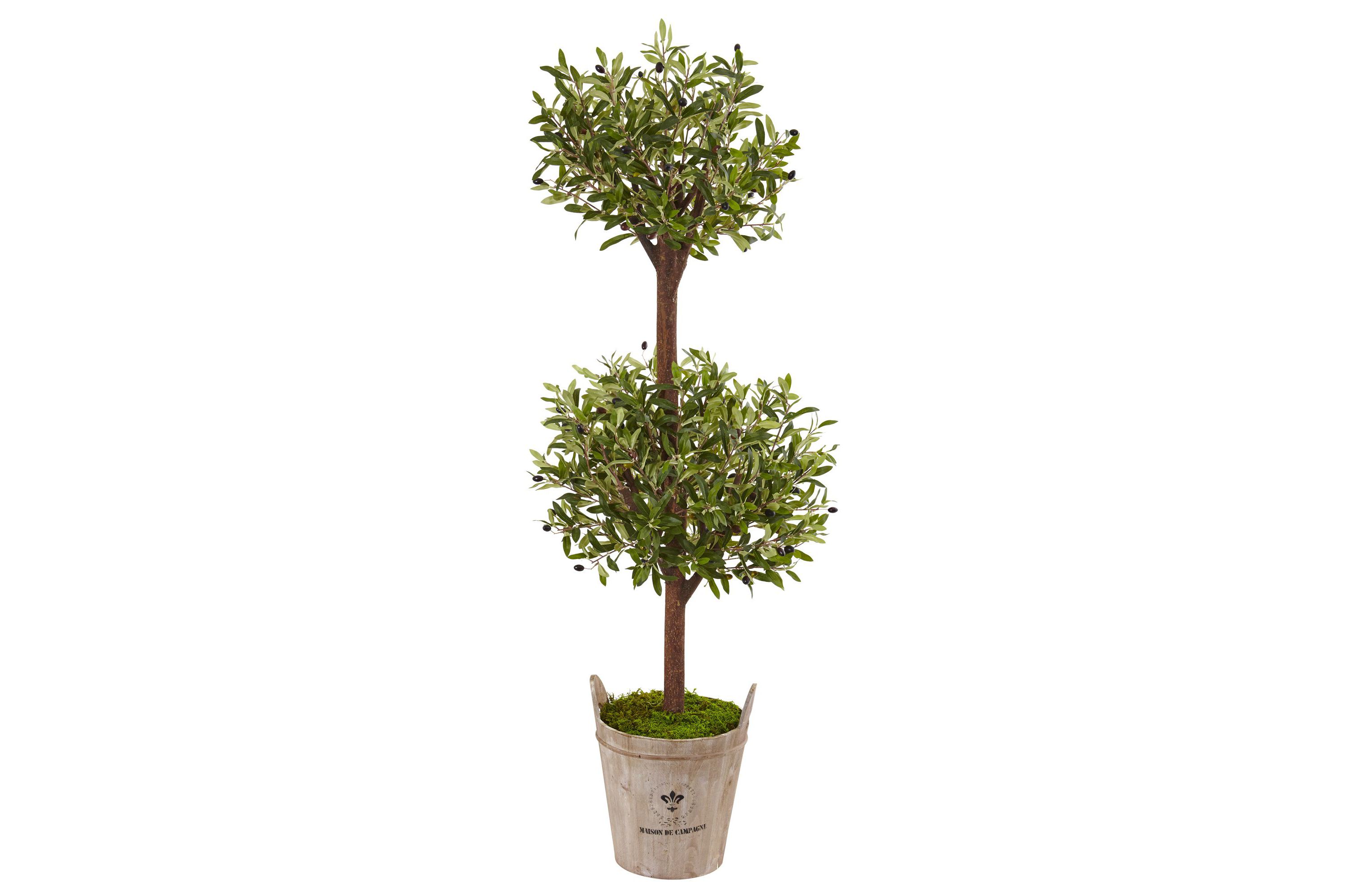 5-Foot Olive Artificial Tree in Farmhouse Planter
